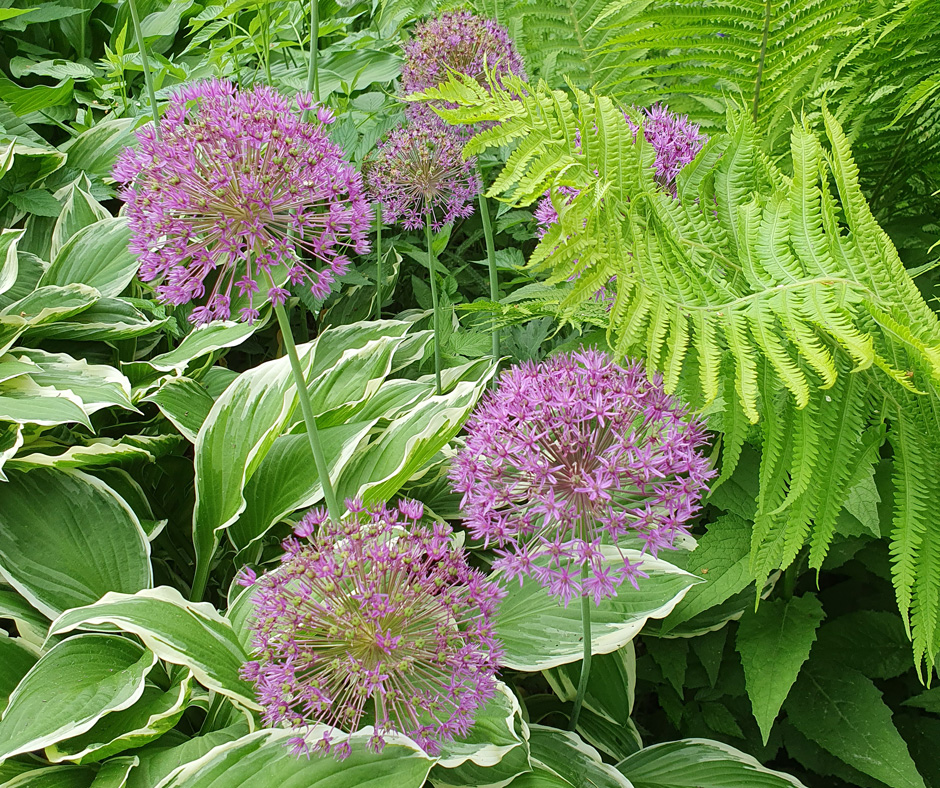 Helmikuun kursseilla koet makuja, mielenrauhaa ja puutarhainspiraatiota