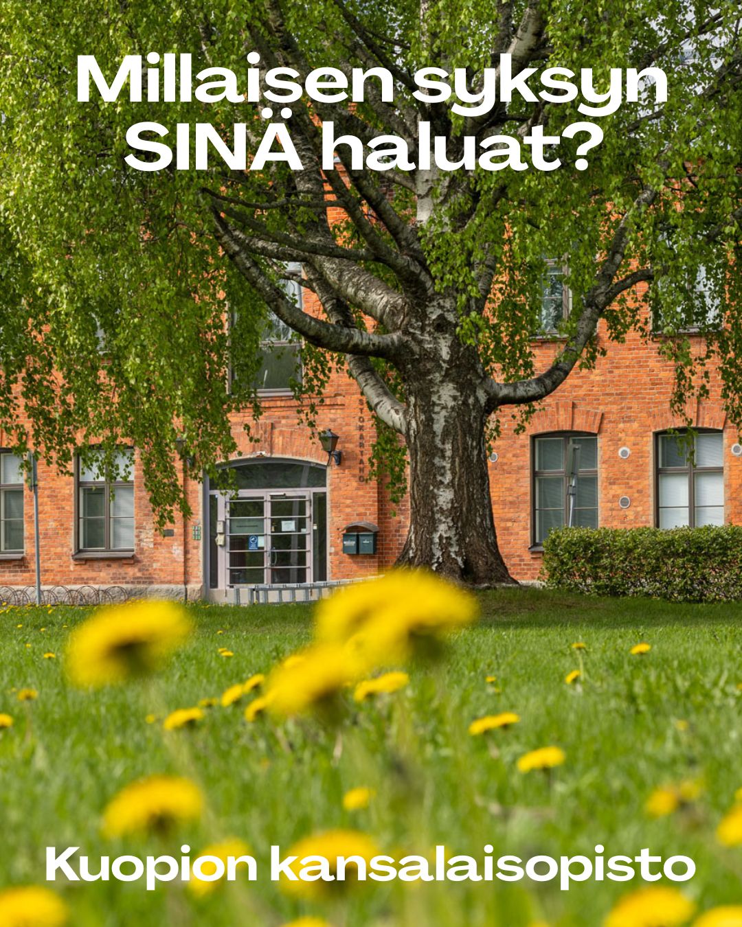 Kuopion kansalaisopisto. Uusi lukuvuosi. Millaisen syksyn sinä haluat? Kuvituskuva.